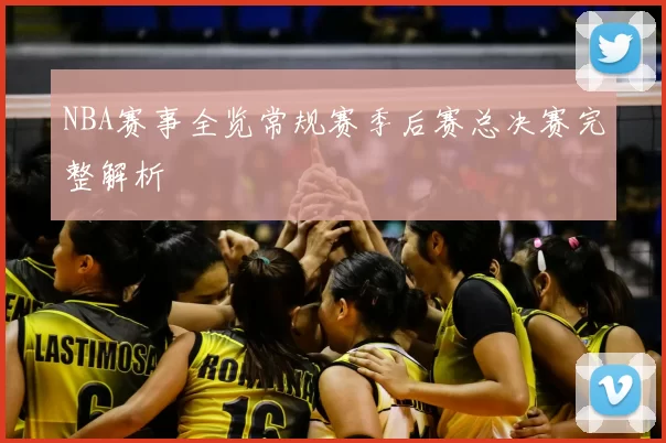 NBA赛事全览常规赛季后赛总决赛完整解析