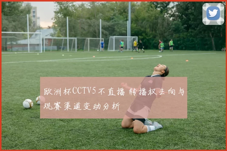 欧洲杯CCTV5不直播 转播权去向与观赛渠道变动分析
