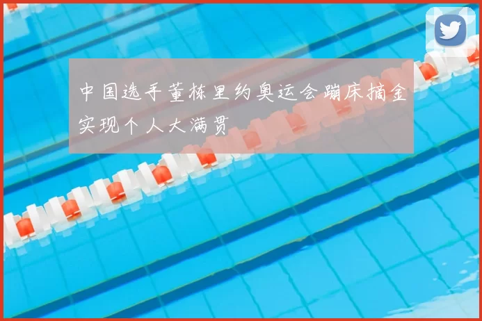 中国选手董栋里约奥运会蹦床摘金实现个人大满贯