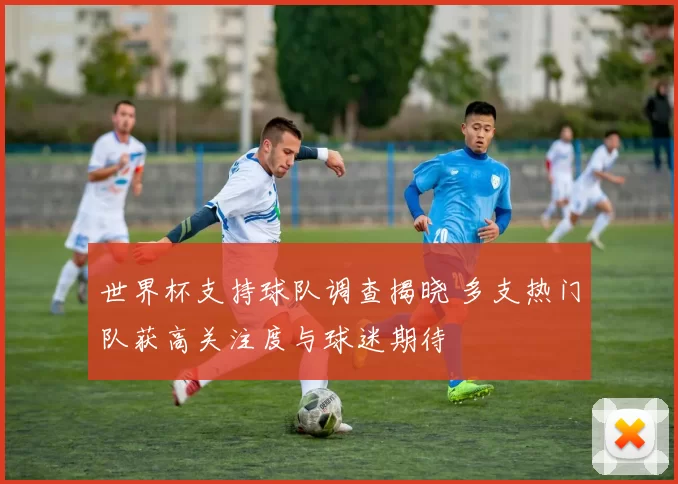 世界杯支持球队调查揭晓 多支热门队获高关注度与球迷期待
