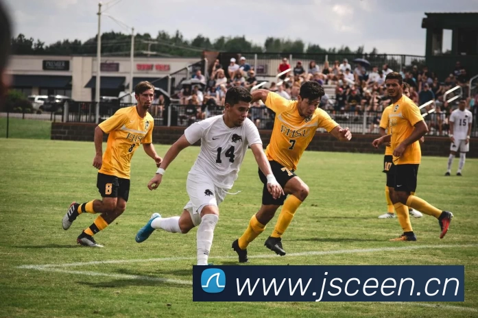 多媒体互动体验